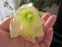 Изображение 877.jpg