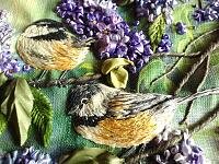 2015-02-02 11-11-54.jpg