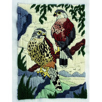 PROD-DWD-SD18-LKESTREL Long Stitch kit.jpg