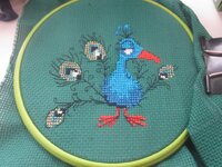 Изображение 195.jpg