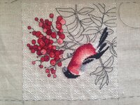 2014-03-22 11-43-04.jpg