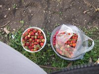 Изображение 2679.jpg