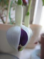 Изображение 1134.jpg