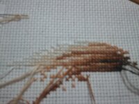 1. Начало 2.10.13..jpg