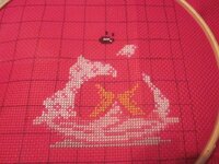 Изображение 31636.jpg