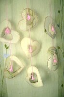 2 номинация (2).jpg