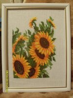 подсолнухи в рамке.jpg