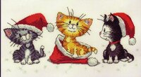 christmas kittens.jpg