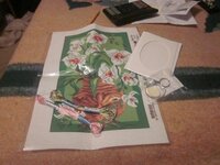 Изображение 2894.jpg