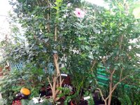 Изображение 134.jpg