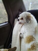 IMAG4356 [Разрешение рабочего стола].JPG