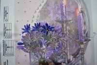 цветы бисером.jpg