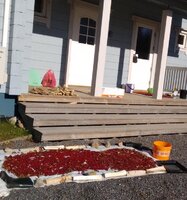 Фото 05.10.16, 12 59 32.jpg