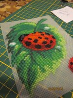 Изображение 2622.jpg