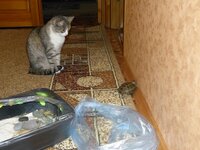 2012.05.28. с черепахой (1).jpg