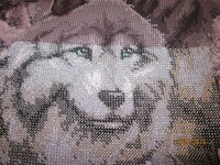 Изображение 2546.jpg