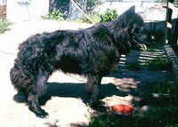 Хват летом.jpg