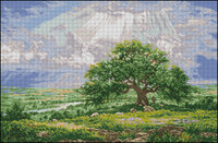 G 675 Sub razele soarelui.jpg