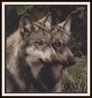 Волки от Ющук (PM-дмс).jpg