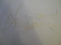 вышивка 006.jpg