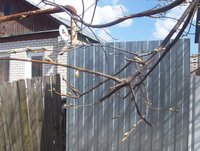 Изображение 171.jpg