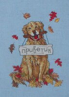 Собака (февраль 2013).jpg