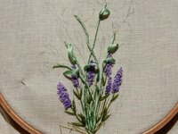 2014-05-25 09-36-04.jpg