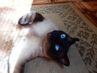 2014-06-24 10-46-32.jpg