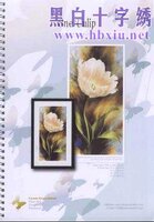 il-012 One Tulip.jpg