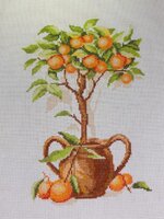 Апельсиновое дерево.jpg