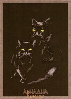 С-006 Кошки.jpg