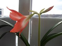 рисунок 003.jpg