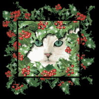 CMH Winter Cat_PM.jpg