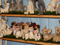 2015-10-22 14-34-24.jpg