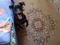 Изображение 047.jpg