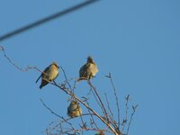 16.12.2012. Елецкая (6).jpg