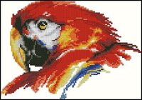 Vervaco-Parrot (1).jpg