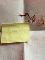 31.03.14 Панна Прибыль в делах.jpg