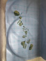 катюшенька - 02.jpg