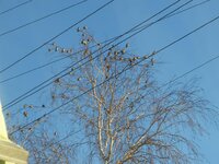 16.12.2012. Елецкая (1).jpg