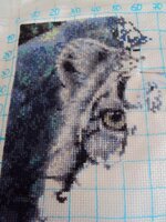 день одиннадцатый.jpg