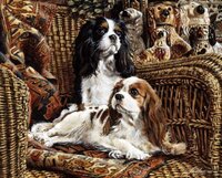 cavaliers on wicker.JPG