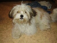 Изображение 680.jpg