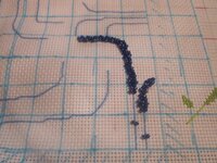 Изображение 2868.jpg