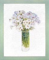 Cosmos (Fujico 610).JPG