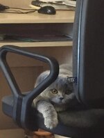 мальчик вырос3.jpg