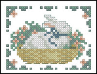 кролик просто.jpg