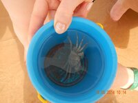 отдых 2014 май 428.jpg