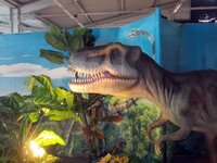 Изображение 022.jpg