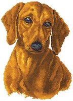 Алиса #1-01- Такса.jpg